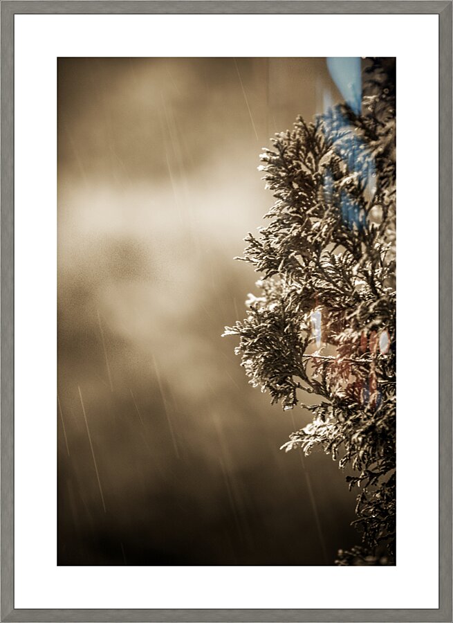 Rain Picture Frame print