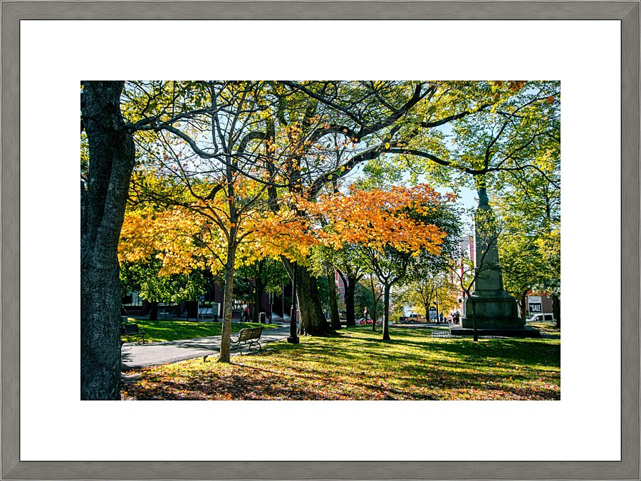 Saint John Picture Frame print