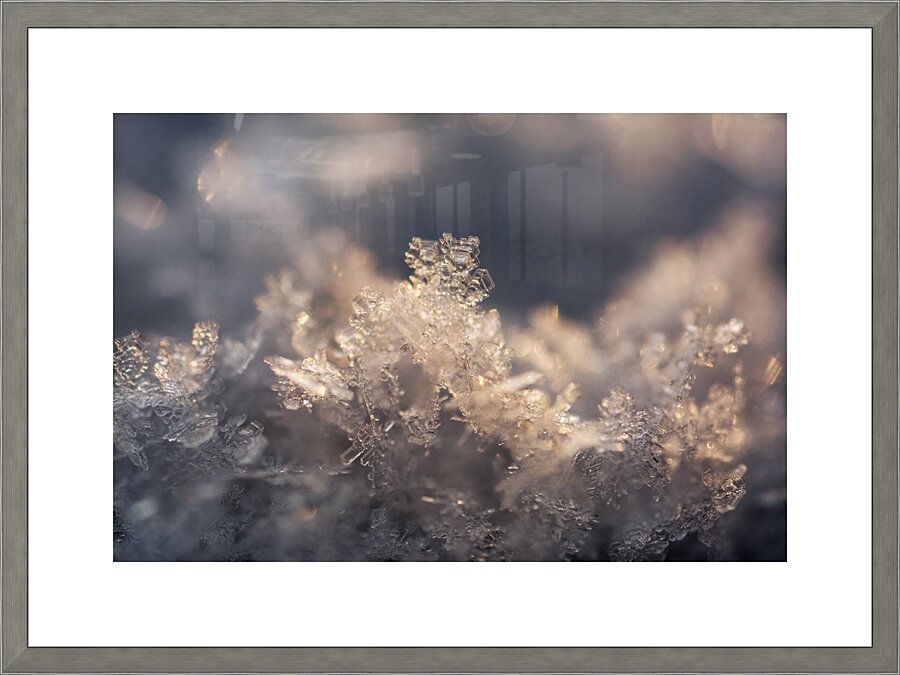 Snowflake Picture Frame print