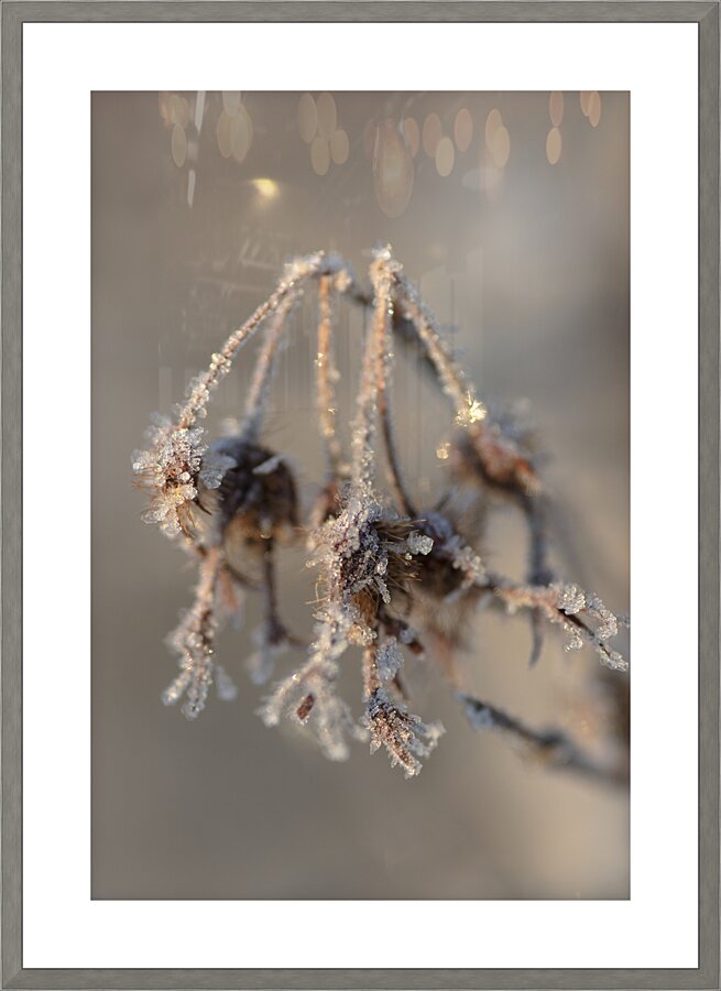 Snowflake Picture Frame print