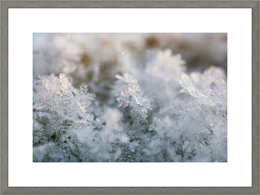 Snowflake Picture Frame print