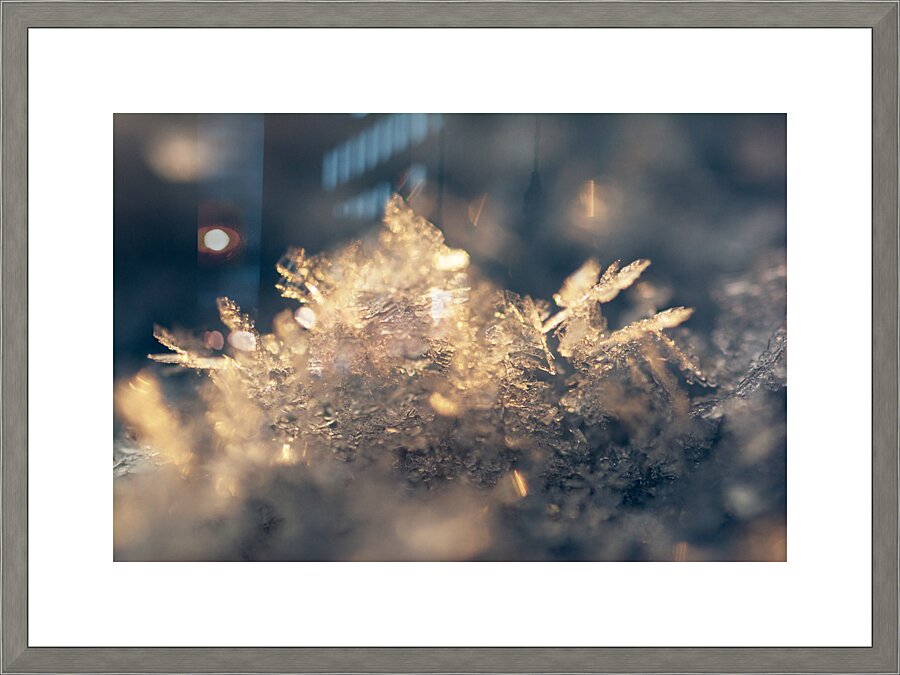 Snowflake Picture Frame print