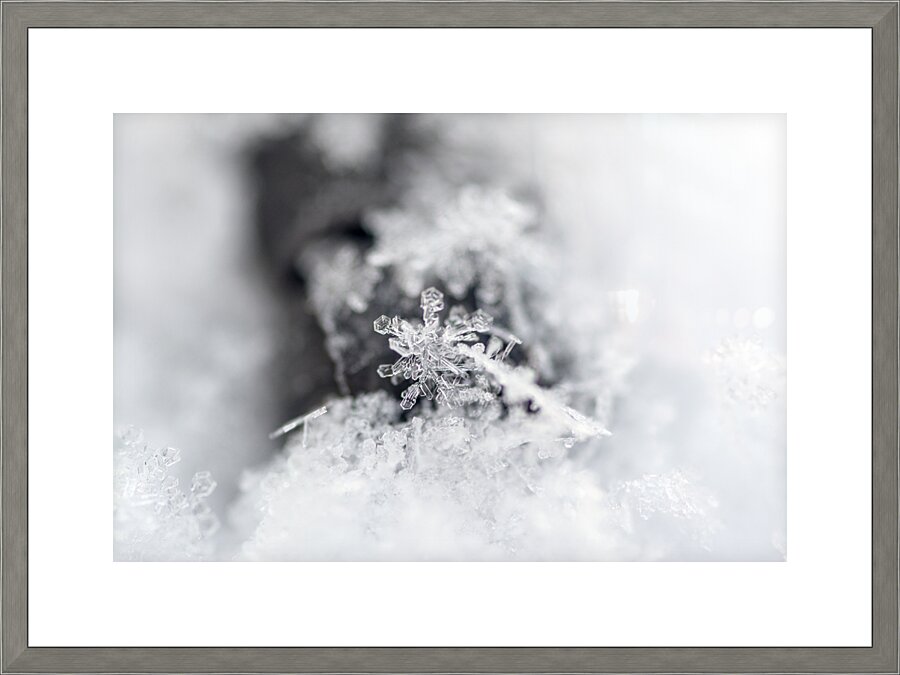 Snowflake Picture Frame print