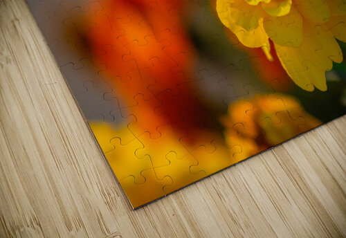 bee and flowers Olena Ivanova puzzle