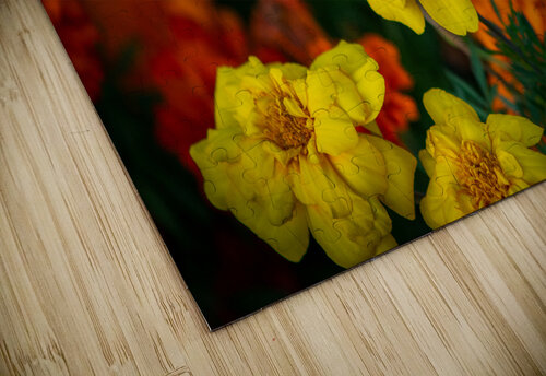 bee and flowers 6 Olena Ivanova puzzle