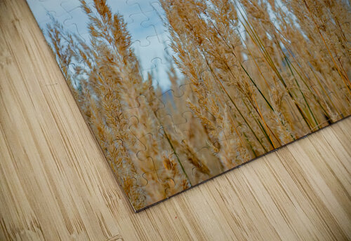 sky and weed Olena Ivanova puzzle