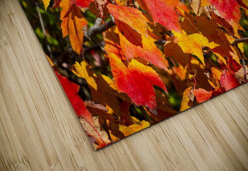 Red trees Autumn Olena Ivanova puzzle