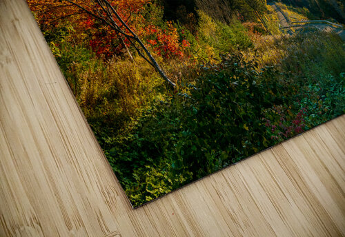 Red trees Autumn Olena Ivanova puzzle