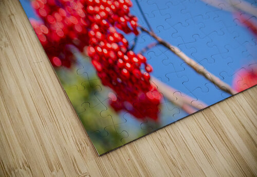 Blue 2 Olena Ivanova puzzle