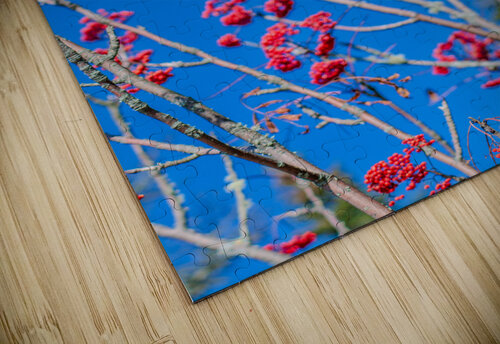 Blue 3 Olena Ivanova puzzle