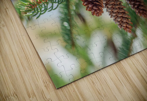fir tree with cones 5 Olena Ivanova puzzle