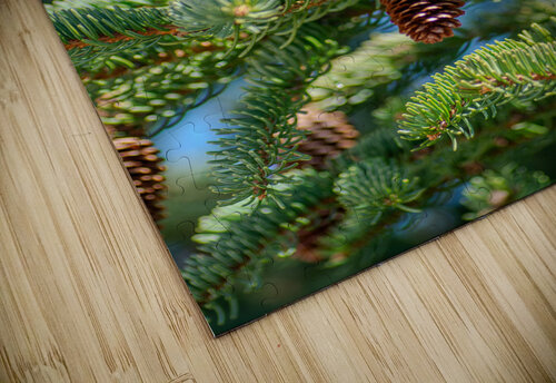 fir tree with cones 9 Olena Ivanova puzzle
