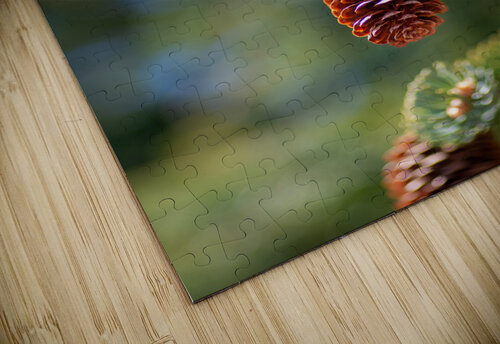 fir tree with cones 3 Olena Ivanova puzzle
