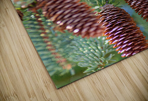 fir tree with cones 2 Olena Ivanova puzzle