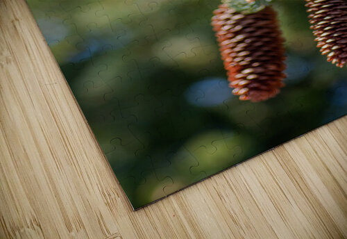 fir tree with cones 4 Olena Ivanova puzzle