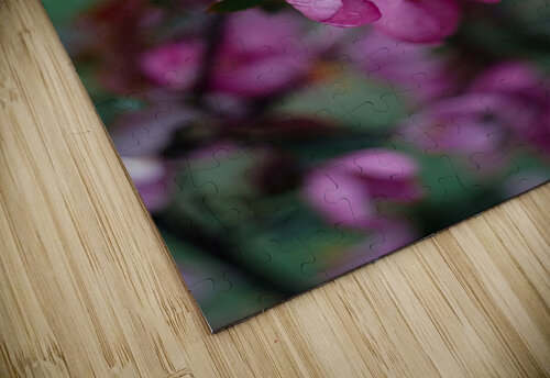 Flowers closeup 14 Olena Ivanova puzzle