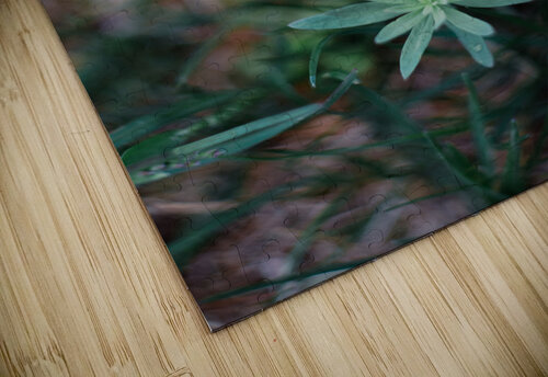 Flowers closeup 15 Olena Ivanova puzzle