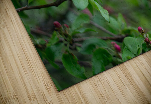 Flowers closeup 6 Olena Ivanova puzzle