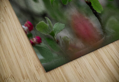 Flowers closeup 5 Olena Ivanova puzzle