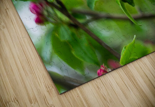 Flowers closeup 7 Olena Ivanova puzzle