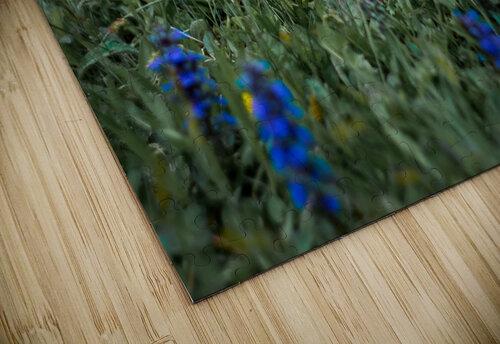 Flowers closeup 10 Olena Ivanova puzzle