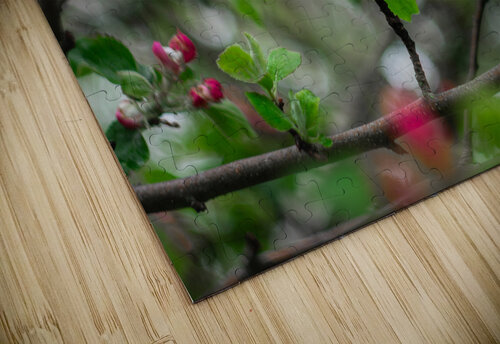 Flowers closeup 4 Olena Ivanova puzzle