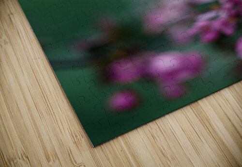 Flowers closeup 13 Olena Ivanova puzzle