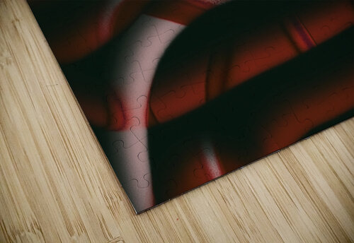 Desert Red Olena Ivanova puzzle
