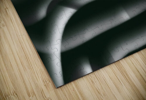 Desert Silver Olena Ivanova puzzle