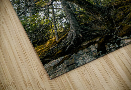 Wild Olena Ivanova puzzle