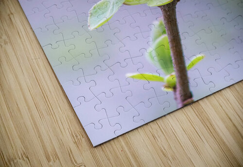 Flower Olena Ivanova puzzle