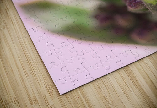 Sprout  Olena Ivanova puzzle
