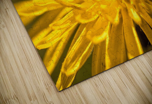 Dandelion Olena Ivanova puzzle