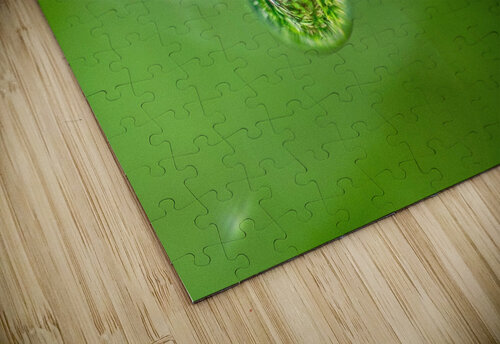 Drops Olena Ivanova puzzle