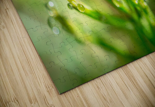 Drops Olena Ivanova puzzle