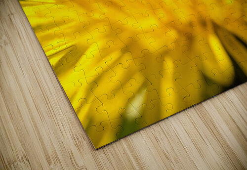 Dandelion  Olena Ivanova puzzle