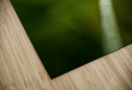 Drop Olena Ivanova puzzle