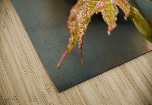 Leaves Olena Ivanova puzzle