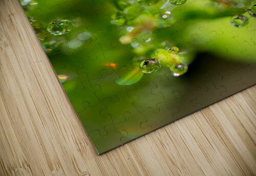 Drops Olena Ivanova puzzle