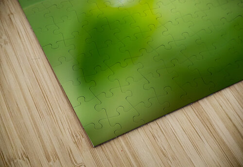 Water drop Olena Ivanova puzzle