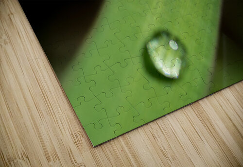Drops Olena Ivanova puzzle