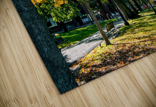 Saint John Olena Ivanova puzzle