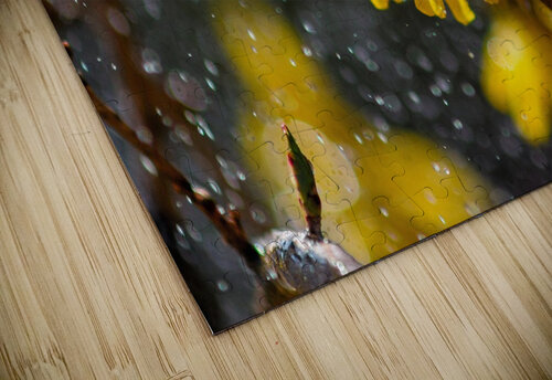 Yellow Flower in rain Olena Ivanova puzzle