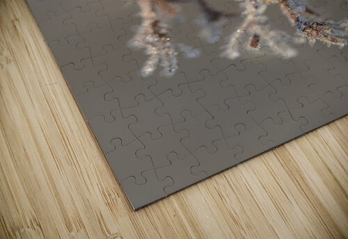 Snowflake Olena Ivanova puzzle