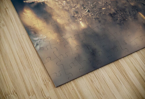 Snowflake Olena Ivanova puzzle