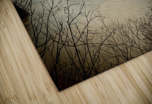 Island  Olena Ivanova puzzle