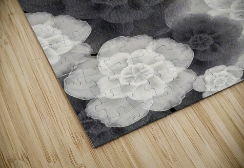 Monochrome Petals Olena Ivanova puzzle