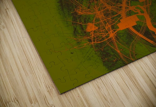 Neural Currents Olena Ivanova puzzle
