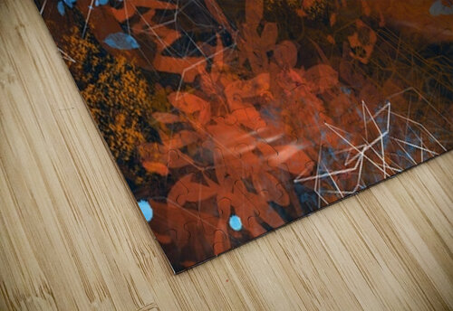 After the Bloom Olena Ivanova puzzle