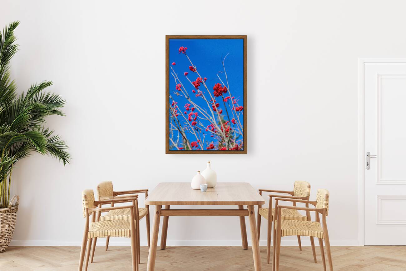 Blue 3 Reproduction